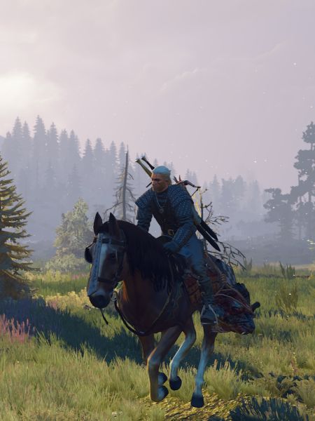 Witcher from the back view