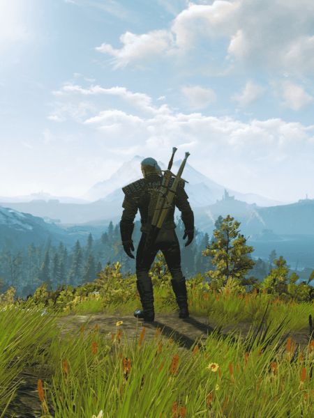 Witcher from the back view
