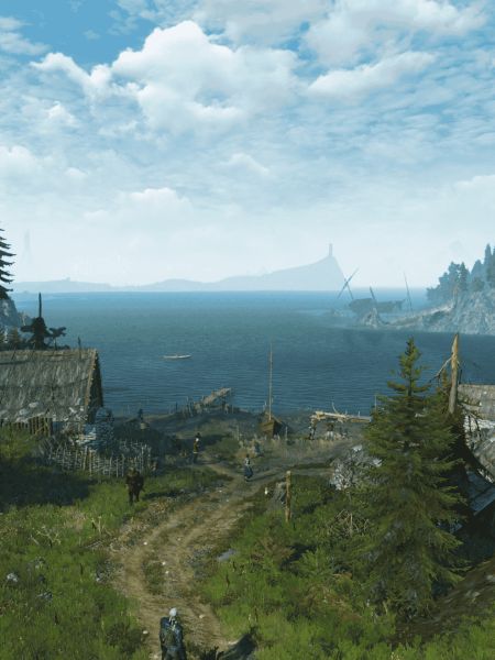 Witcher from the back view