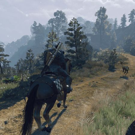 View of the Novigrad in the rain